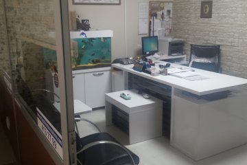 Foto Galeri